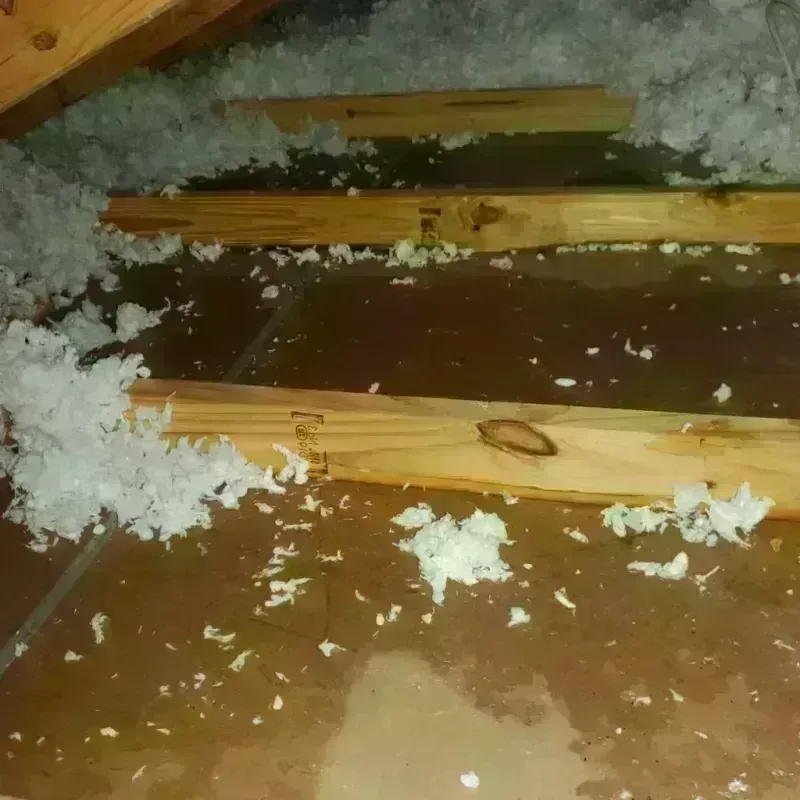 Attic Water Damage in Kent County, TX