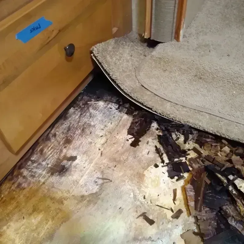 Wood Floor Water Damage in Kent County, TX